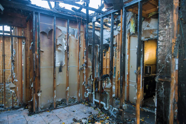 Professional Smoke Damage Removal technician working in Oquawka, IL